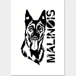 Malinois - Belgian shepherd Posters and Art